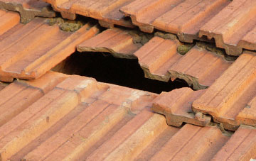 roof repair Stone Raise, Cumbria